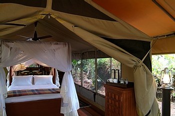 Intrepid camps