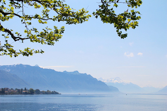 Le lac Léman, le plus grand lac d'Europe