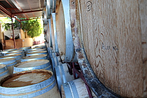 Les barils d’une bodega.