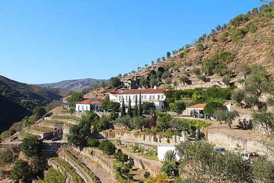 La Quinta do Panascal