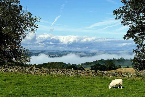 La belle campagne anglaise