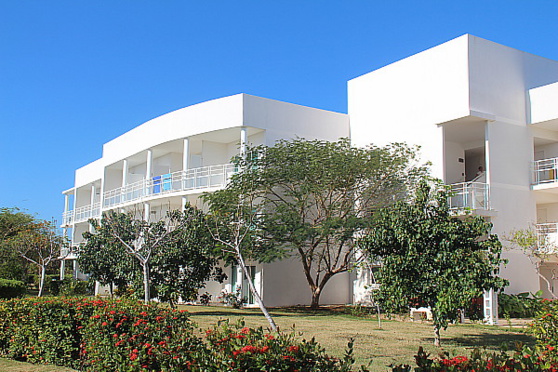 Au Valentin Perla Blanca Au Valentin Perla Blanca