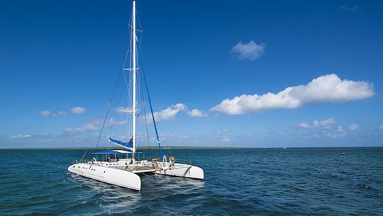 cr.photo Gaviota cr.photo Gaviota