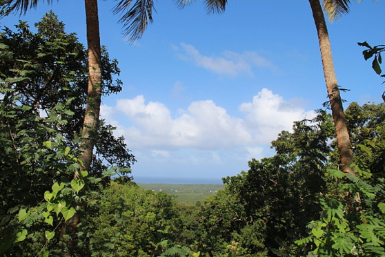 La Guadeloupe et ses visages multiples La Guadeloupe et ses visages multiples
