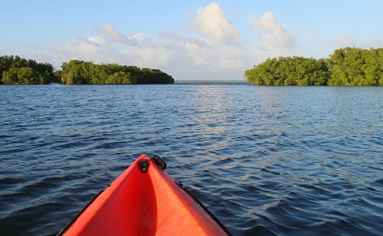 La Guadeloupe, au-delà des plages... La Guadeloupe, au-delà des plages...
