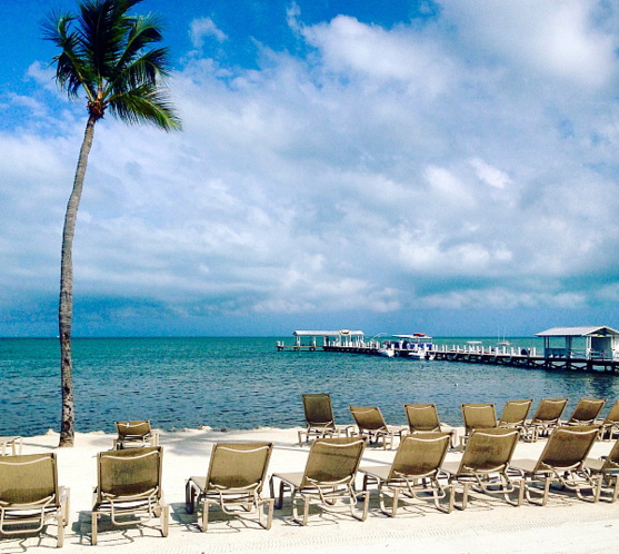 La jolie plage du Cheeca Lodge and Spa