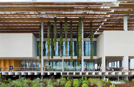 Pérez Art Museum