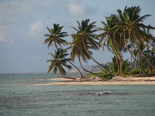 En direct du Club Med de Punta Cana En direct du Club Med de Punta Cana