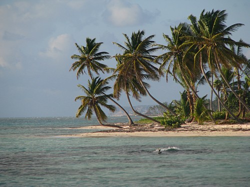 En direct du Club Med de Punta Cana