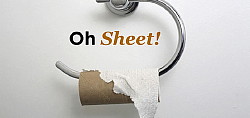 Pénurie de papier toilette à bord : le vol prend 5 heures de retard Pénurie de papier toilette à bord : le vol prend 5 heures de retard