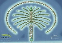 Palm Island Palm Island