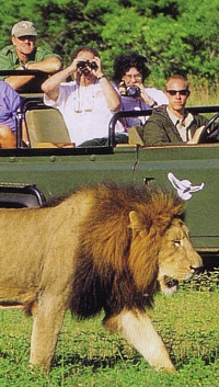 La brochure 2009 de Voyages Cassis en un clin d'oeil La brochure 2009 de Voyages Cassis en un clin d'oeil