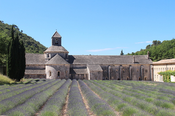 Abbaye de Sénanque