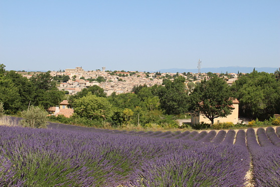 Redécouvrir Marseille et la Provence (reportage) 