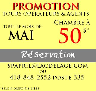 Chambre à 50$ pour Tours Opérateurs et Agents de voyages au Manoir du Lac Delage
