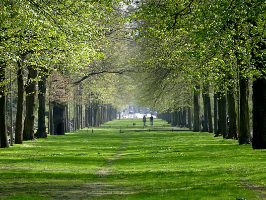 Tiergarten