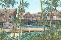 Les jungle bungalows Les jungle bungalows
