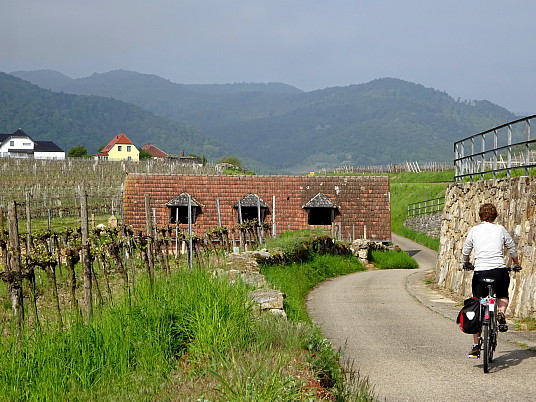 Dans les vignobles de la vallée de Wachau