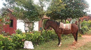 La campagne paraguayenne.