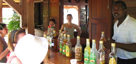 Dégustation à la distillerie Bellevue Dégustation à la distillerie Bellevue