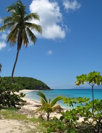 Éductour du Réseau Ensemble à la Guadeloupe: une journée exquise à Marie-Galante !