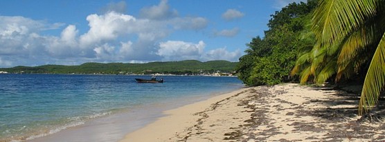 La plage au Kawann Beach Hotel (avant ratissage des algues)