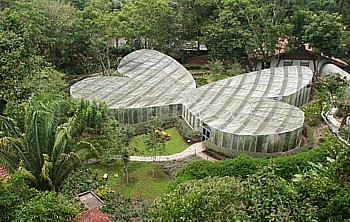 Très vaste, le jardin botanique d' Armenia renferme aussi une volière à papillons.