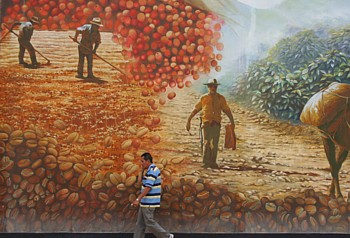 Une murale du café à Calarca. Une murale du café à Calarca.