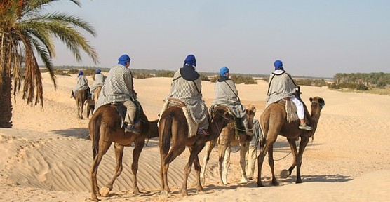 Une virée à dos de dromadaire ? Tout le groupe a accepté d' emblée. Une virée à dos de dromadaire ? Tout le groupe a accepté d' emblée.