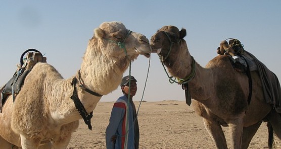 Moment de tendresse... qui se passe de commentaires!