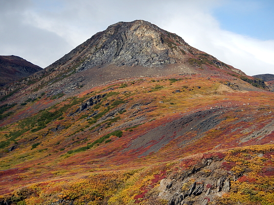 Sur la côte colorée du Labrador