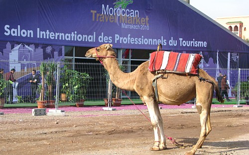 Le Maroc: si proche et si loin ! reportage   Le Maroc: si proche et si loin ! reportage