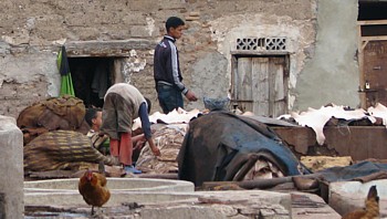 Marrakech : l'envers du décor