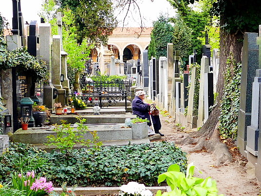 Le cimetière de Vyserhad