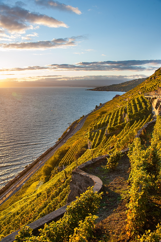 Le Lavaux © Grégoire Chappuis gc-photo.ch