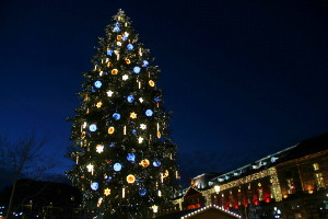 Le sapin géant de la Place Kleber