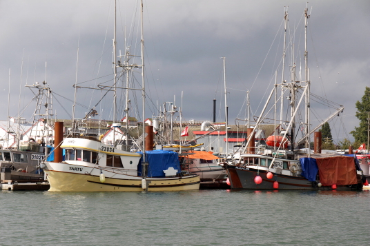 Dans le port de Steveston