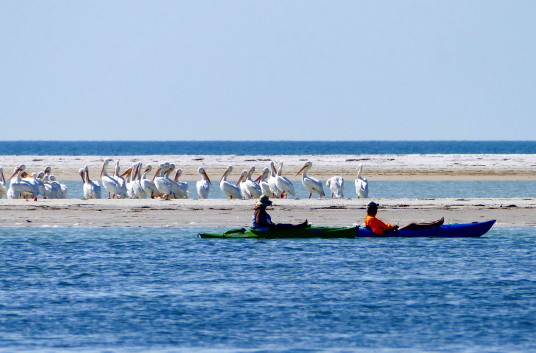 Splendeurs naturelles de Fort De Soto