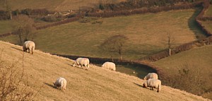 Pays de Galles: une culture et des paysages peu banals!