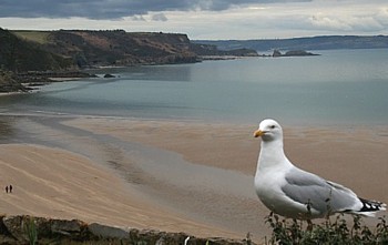 La plage de Tenby La plage de Tenby