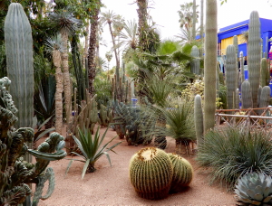 Au jardin Majorelle