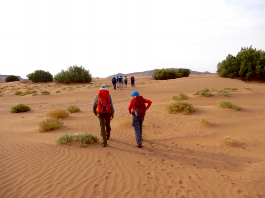 Dans la Vallée du Drâa