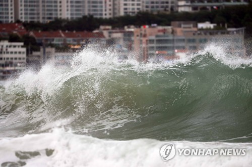 De hautes vagues déferlent le mercredi 22 août 2018 sur la plage de Haeundae à Busan, à environ 450 km au sud-est de Séoul, alors que le typhon Soulik se rapproche de la péninsule.