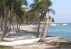 Aux abords du Club Med à Punta Cana