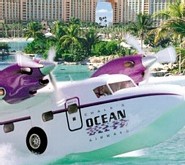 L'écrasement d'un hydravion à Miami perturbe les départs de croisières