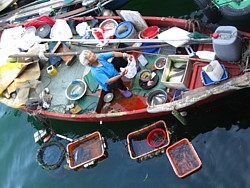 Les familles de pêcheurs vendent des prises directement au bord des quais. Les familles de pêcheurs vendent des prises directement au bord des quais.