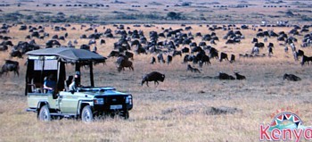 Le Kenya c'est maintenant ! Le Kenya c'est maintenant !