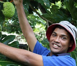 Johnny, le biologiste marin et animateur vedette de l'hôtel, nous montre ici les fruits qui servent à confectionner les chips servis à la salle à manger.