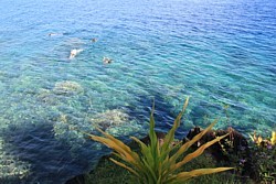 Fidji est réputé pour la plongée. Ici, on plonge juste au pied de l'hôtel Paradise Taveuni. Fidji est réputé pour la plongée. Ici, on plonge juste au pied de l'hôtel Paradise Taveuni.