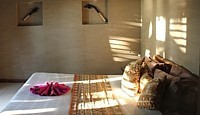 Rien de luxeux dans les chambres du Paradise Taveuni, mais confort, simplicité et proximité de la nature, là-aussi... Rien de luxeux dans les chambres du Paradise Taveuni, mais confort, simplicité et proximité de la nature, là-aussi...